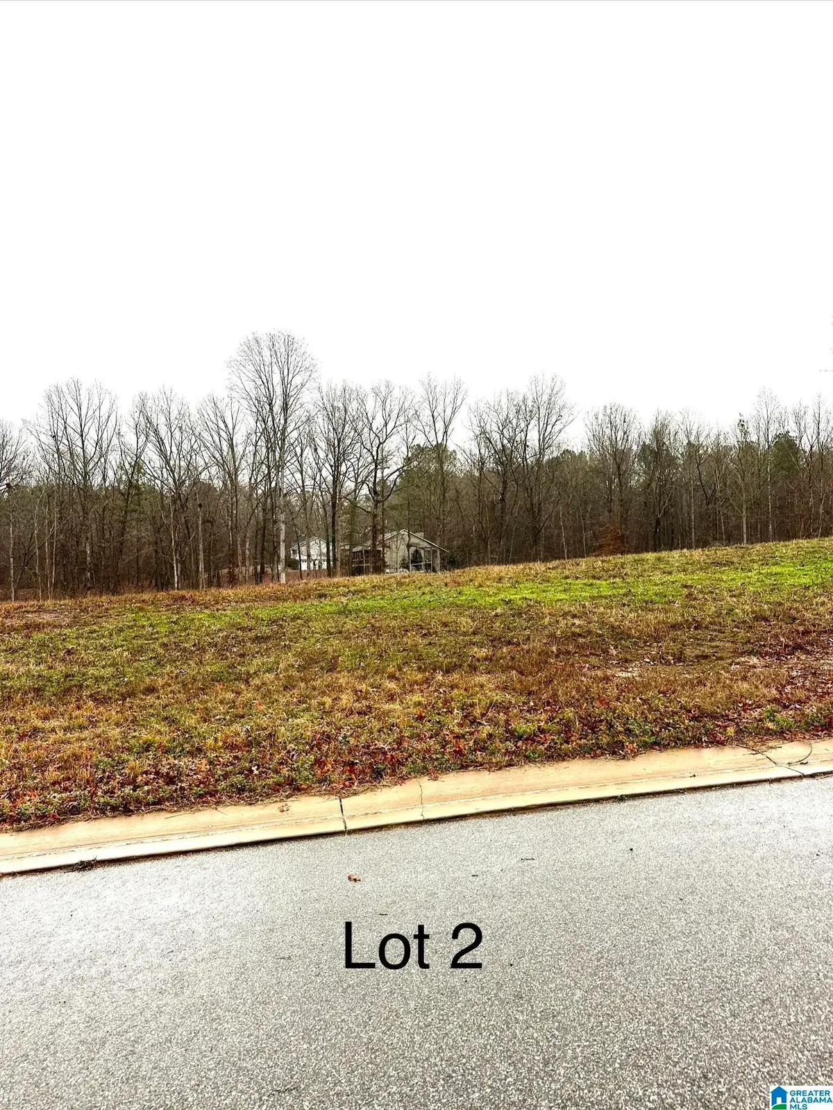 85 OLIVIA LANE, Woodstock, AL 35188 - Image #1