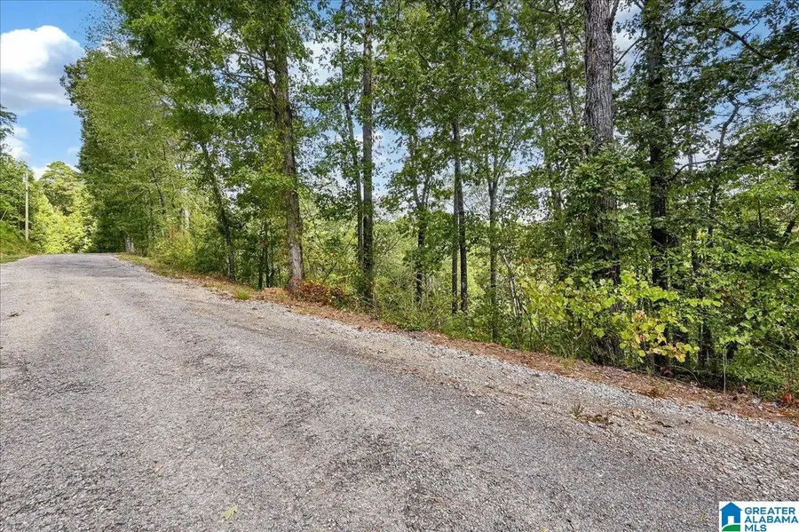 Lot 22 COUNTY ROAD 875, Crane Hill, AL 35053 - Image #2