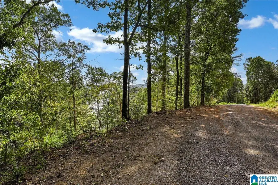 Lot 22 COUNTY ROAD 875, Crane Hill, AL 35053 - Image #3
