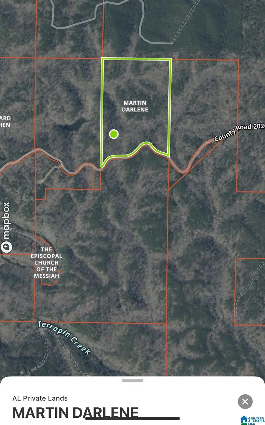 56 Acres COUNTY ROAD 202, Piedmont, AL 36272 - Image #2
