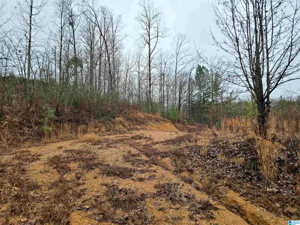 COUNTY ROAD 1516, Cullman, AL 35058