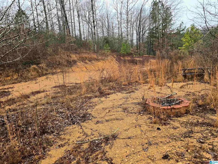 COUNTY ROAD 1516, Cullman, AL 35058 - Image #2