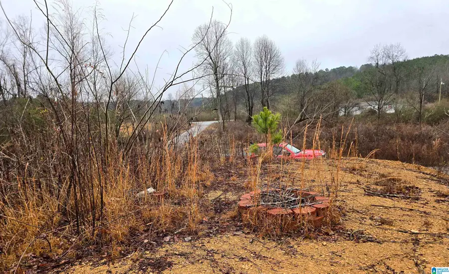 COUNTY ROAD 1516, Cullman, AL 35058 - Image #3