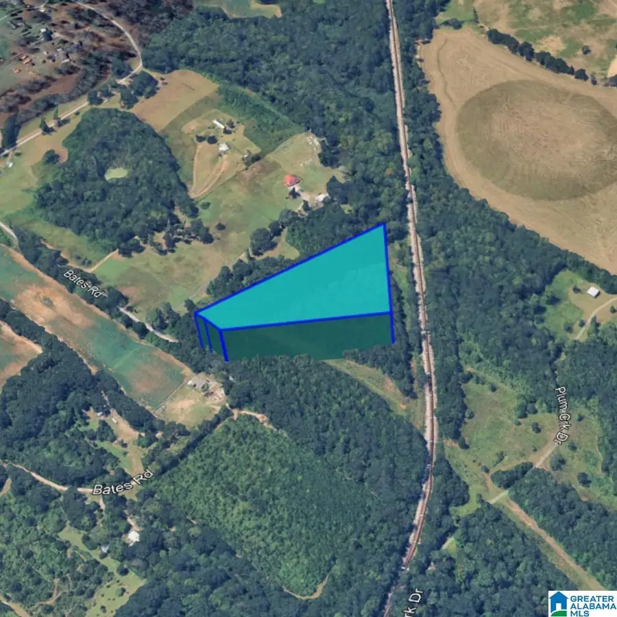 0 BATES ROAD, Vincent, AL 35178 - Image #2