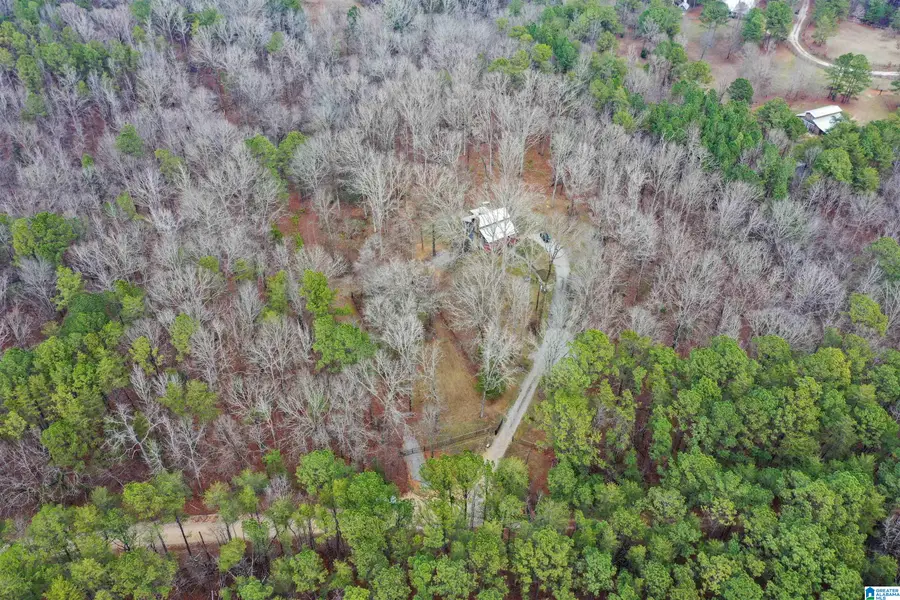 345 BROWN ROAD, Calera, AL 35040 - Image #3