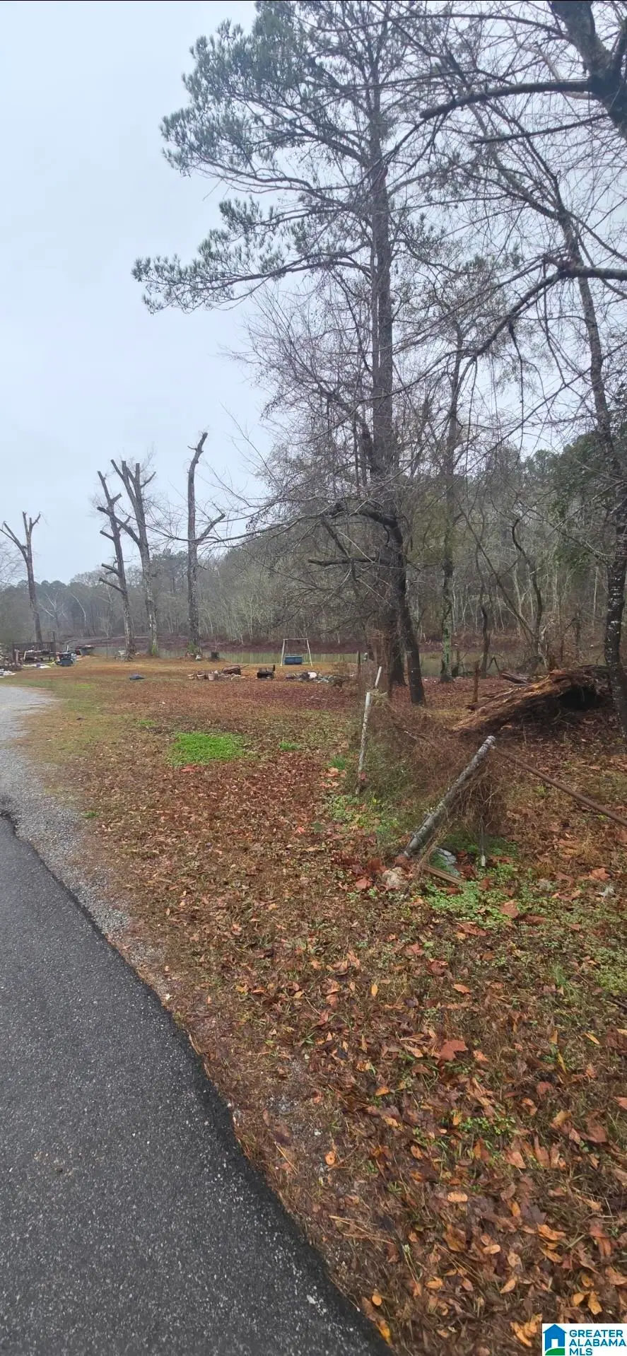 511 LAKEVIEW CIRCLE, Harpersville, AL 35078 - Image #2