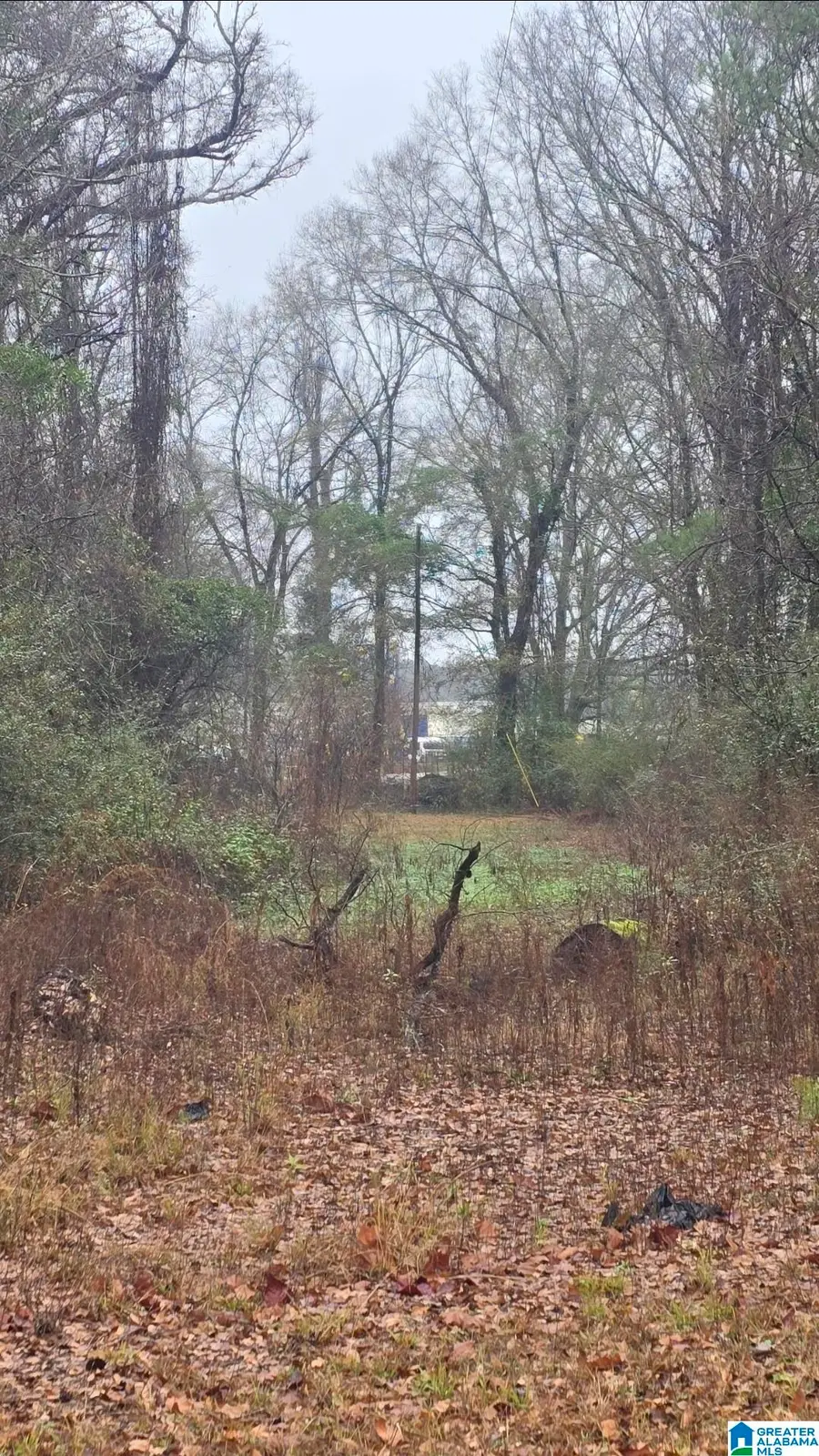 511 LAKEVIEW CIRCLE, Harpersville, AL 35078 - Image #3