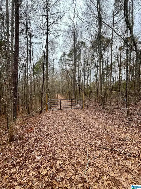 0 JESSIE ANN LANE, Ashland, AL 36251