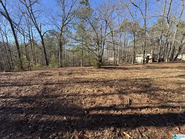 2570 MOUNT VIEW ROAD, Hayden, AL 35079