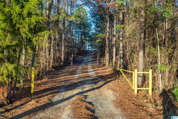 2711 MONTGOMERY HIGHWAY, Centreville, AL 35042