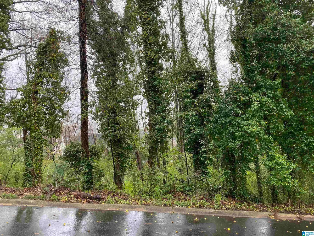 217 EDGEVIEW AVENUE, Homewood, AL 35209 - Image #1