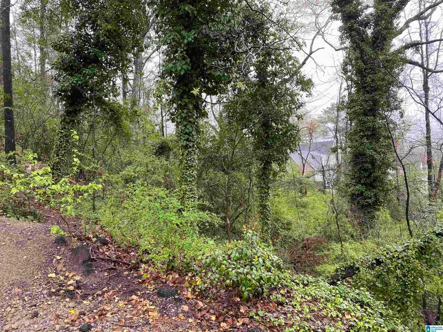 217 EDGEVIEW AVENUE, Homewood, AL 35209 - Image #2