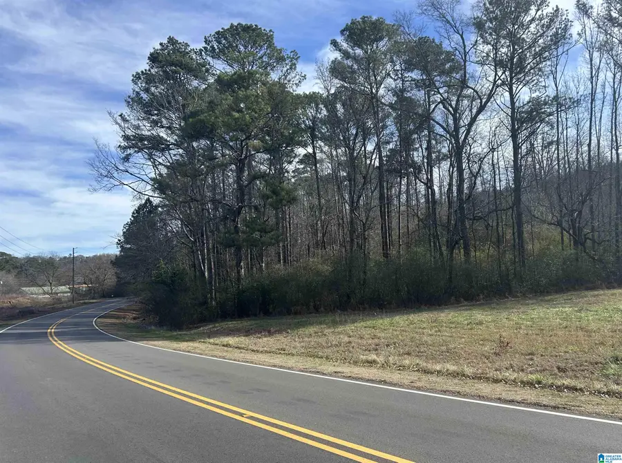 3450 SWEENEY HOLLOW ROAD, Pinson, AL 35126 - Image #3