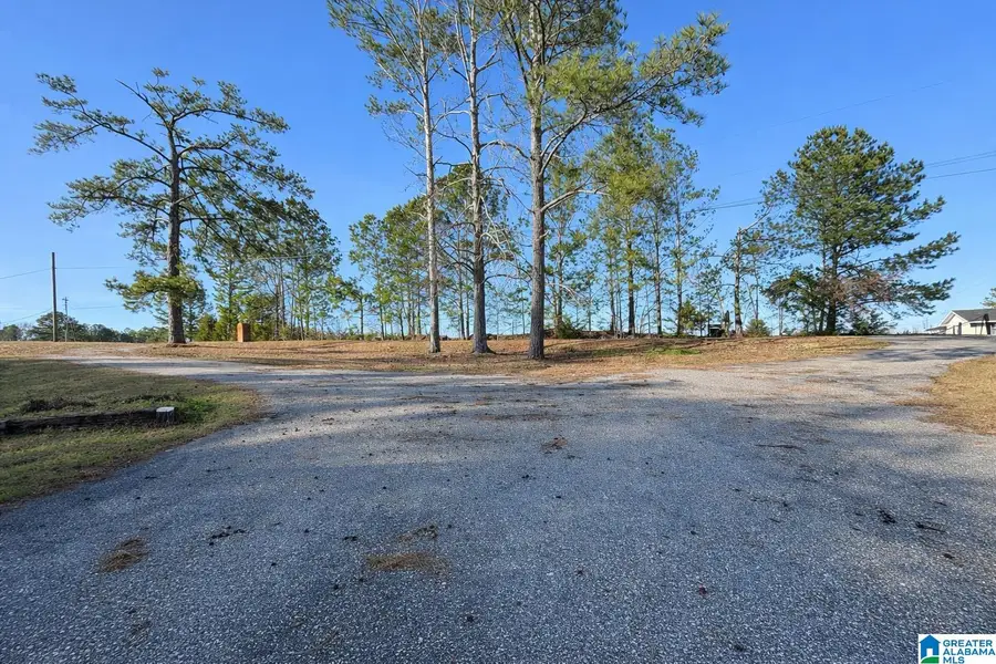 1879 COUNTY ROAD 64, Plantersville, AL 36758 - Image #2