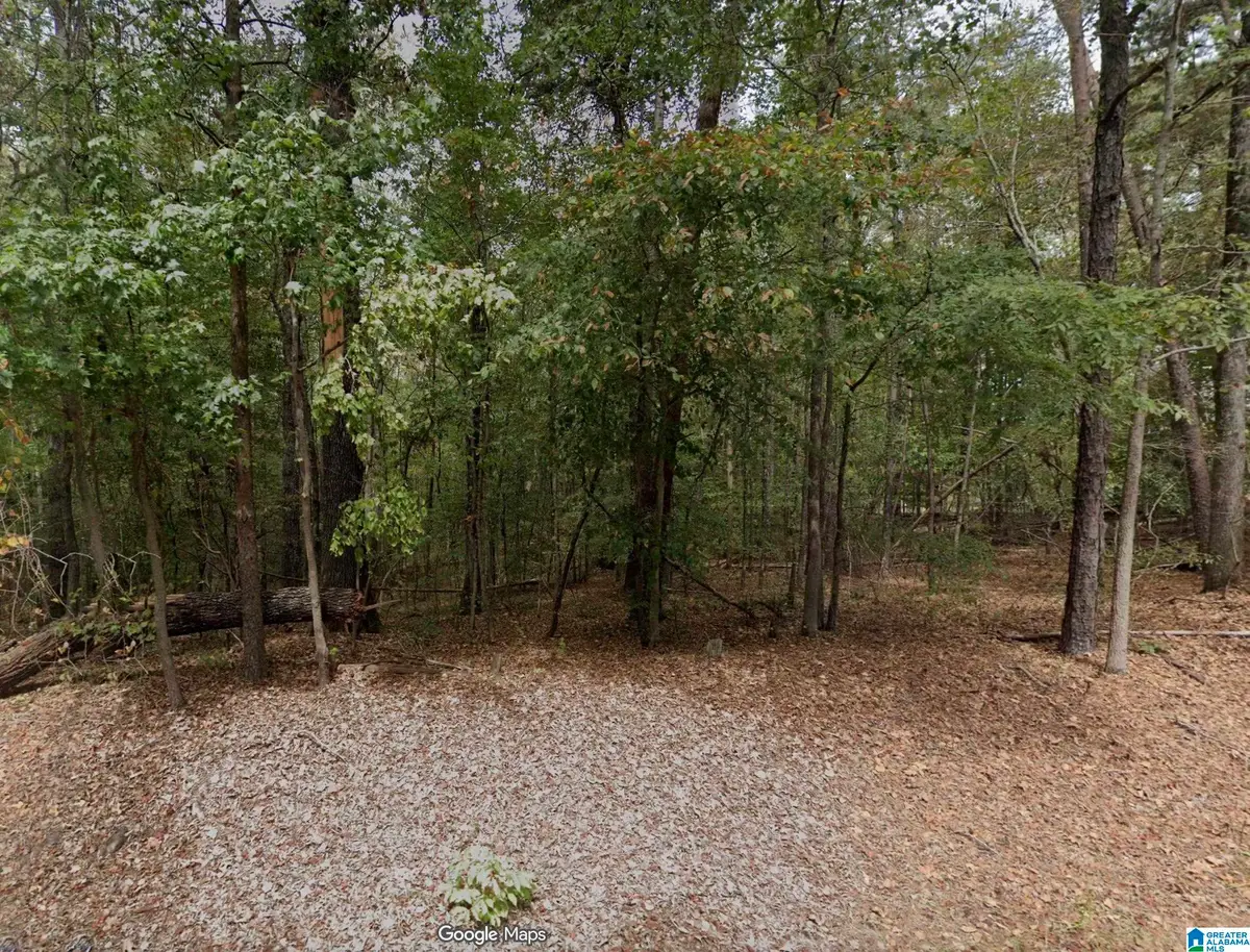 15001 LOCK 17 ROAD, Adger, AL 35006 - Image #1