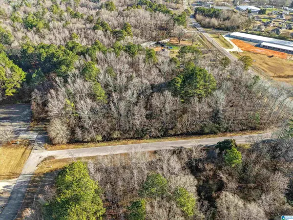 0 BRANCH COVE, Odenville, AL 35120