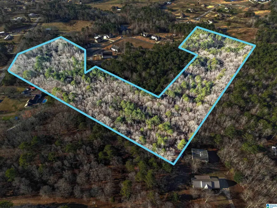 0 BRANCH COVE, Odenville, AL 35120 - Image #3