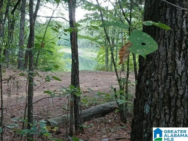 105 POINT AQUARIUS, Alpine, AL 35014 - Image #2