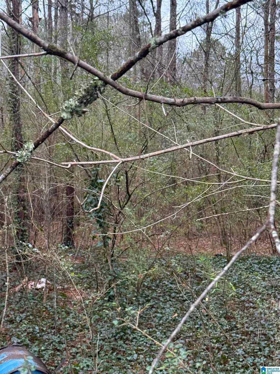 0 HWY 91, Hanceville, AL 35077 - Image #3