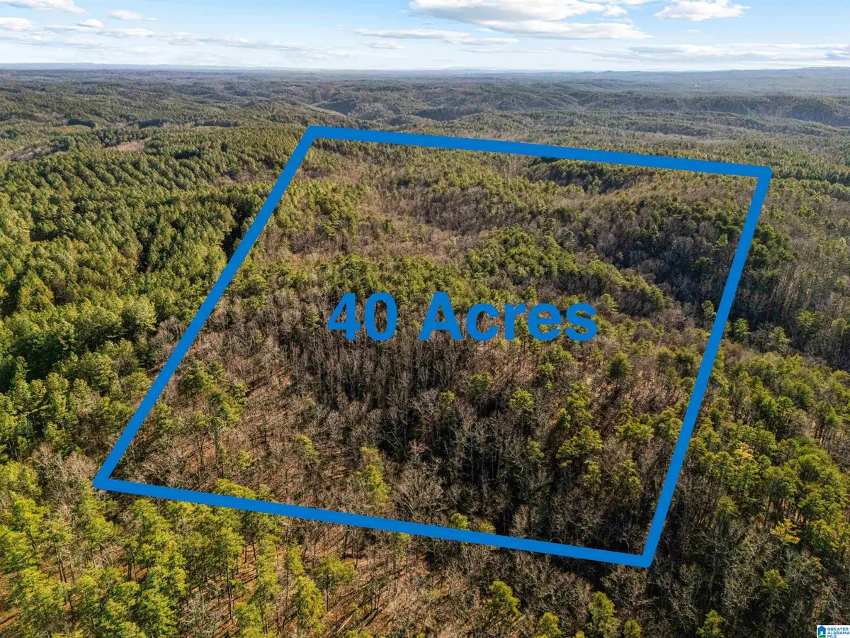 40 Acres COUNTY ROAD 202, Piedmont, AL 36272 - Image #1