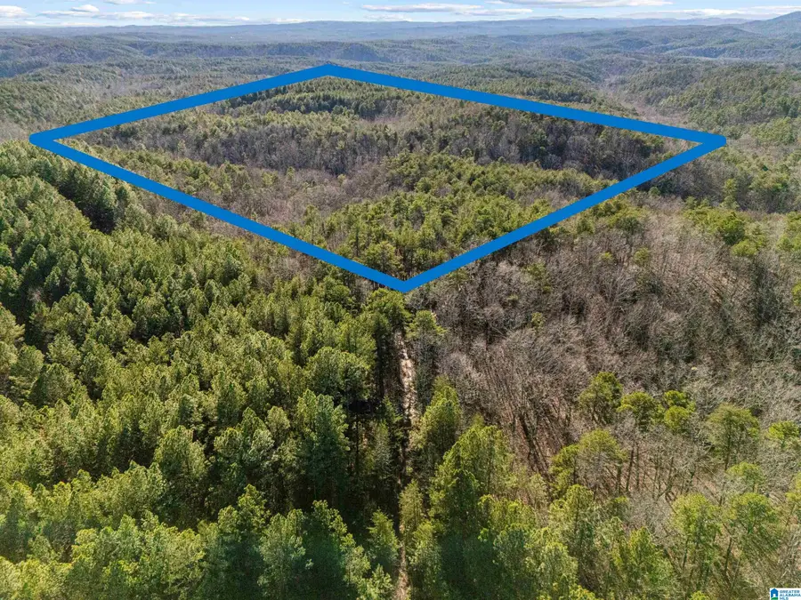 40 Acres COUNTY ROAD 202, Piedmont, AL 36272 - Image #2