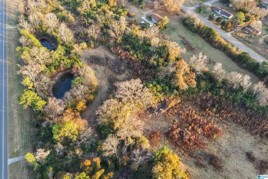 00 MONTGOMERY HIGHWAY, Centreville, AL 35042 - Image #3