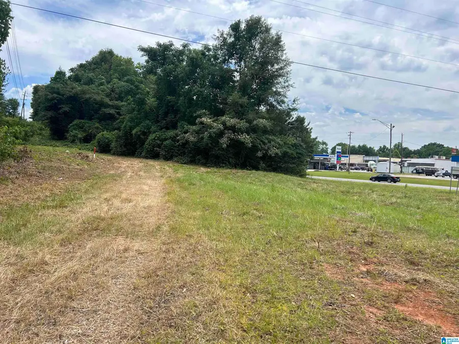 0 HIGHWAY 431, Roanoke, AL 36274 - Image #2