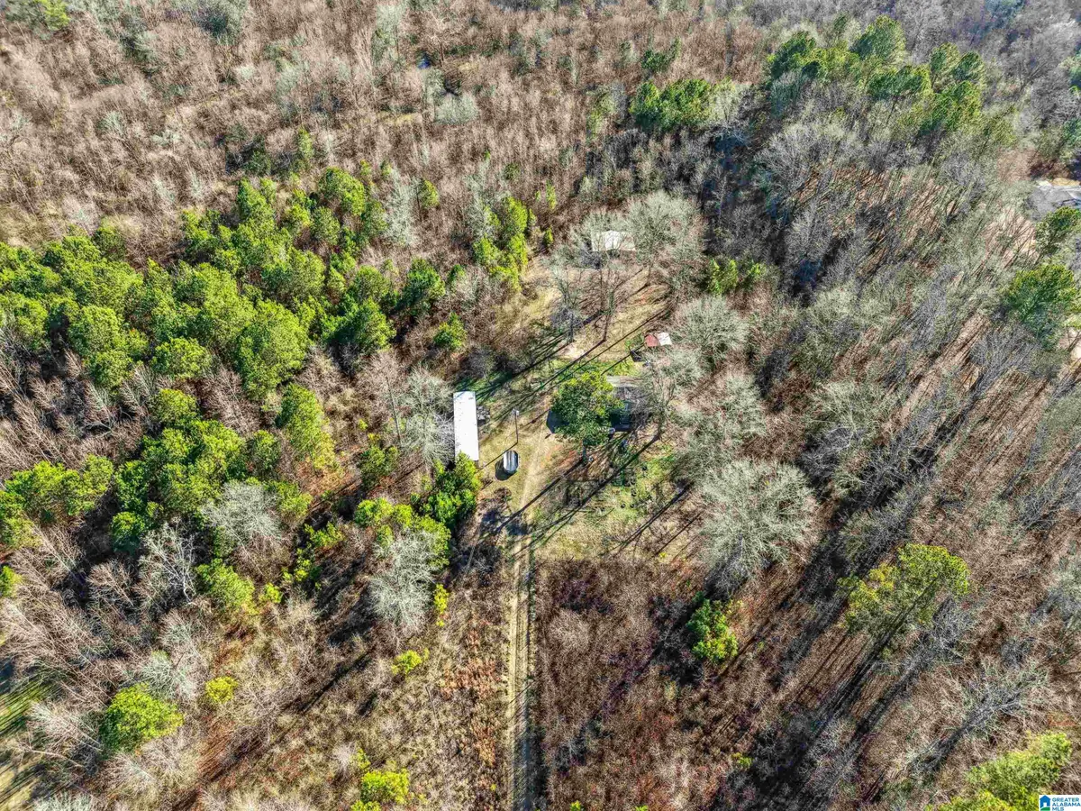 1500 SHOAL CREEK ROAD, Ashville, AL 35131 - Image #1