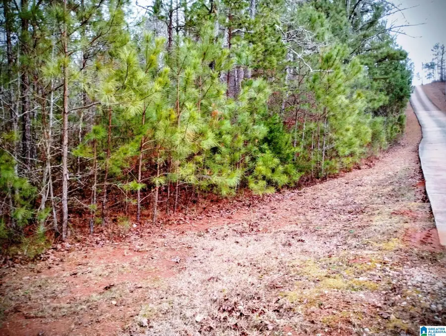 17A RIVER BREEZE, Wedowee, AL 36278 - Image #3