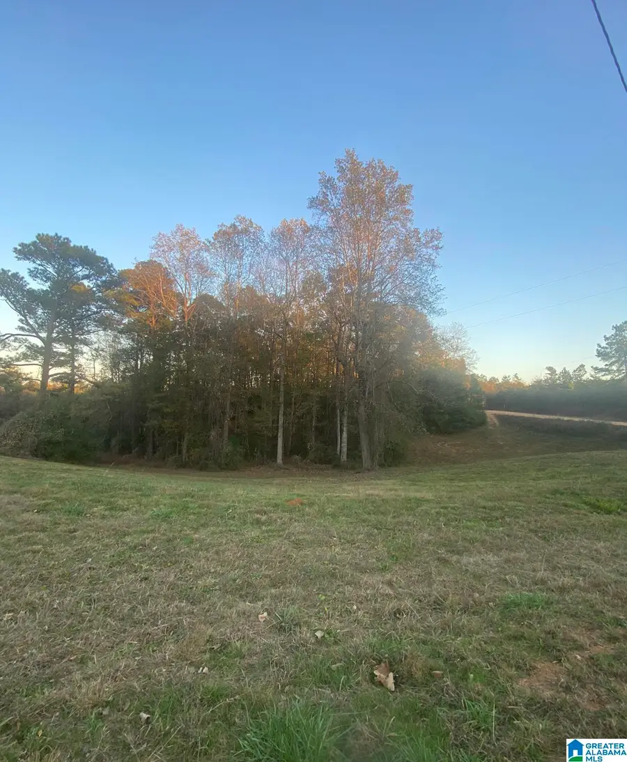 0 COUNTY ROAD 32, Clanton, AL 35046 - Image #2