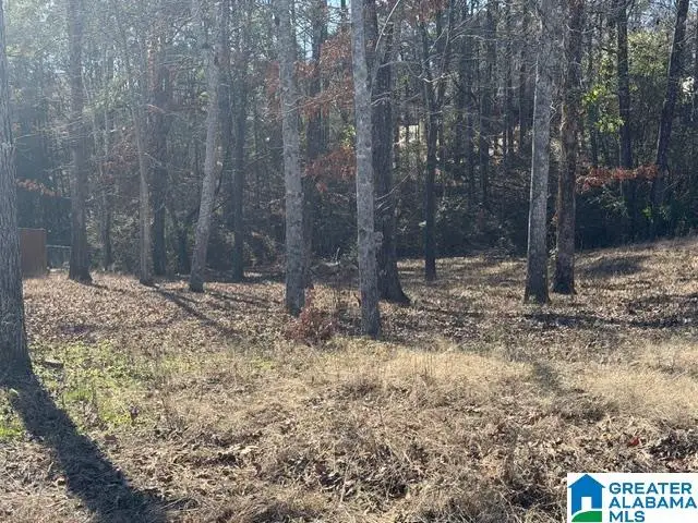 316 STERLING MANOR CIRCLE, Alabaster, AL 35007 - Image #2