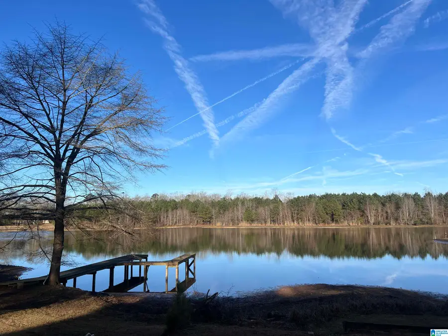 20 SEDDON POINT, Pell City, AL 35128 - Image #2