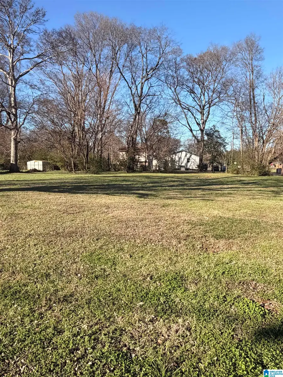 3600 MAPLE AVENUE SW, Birmingham, AL 35221 - Image #2