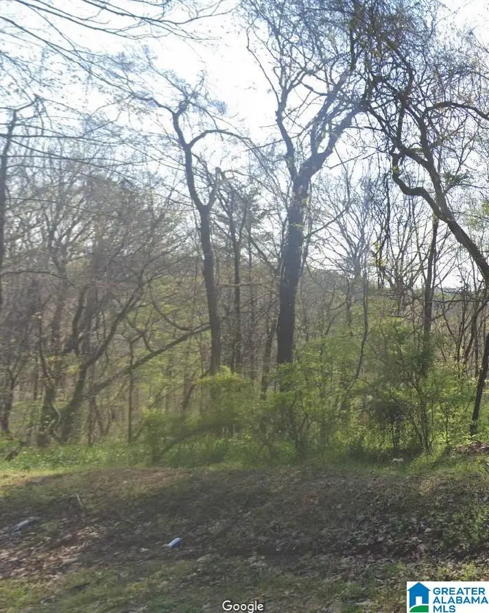 4601 SILVER LAKE ROAD, Pinson, AL 35126 - Image #1