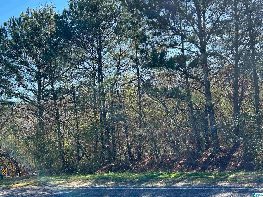 2581 ROBERTA WAY, Birmingham, AL 35214 - Image #2