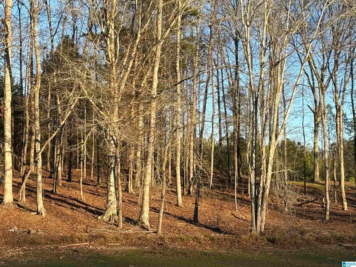 Lot 7 COUNTY ROAD 499, Woodland, AL 36280 - Image #1