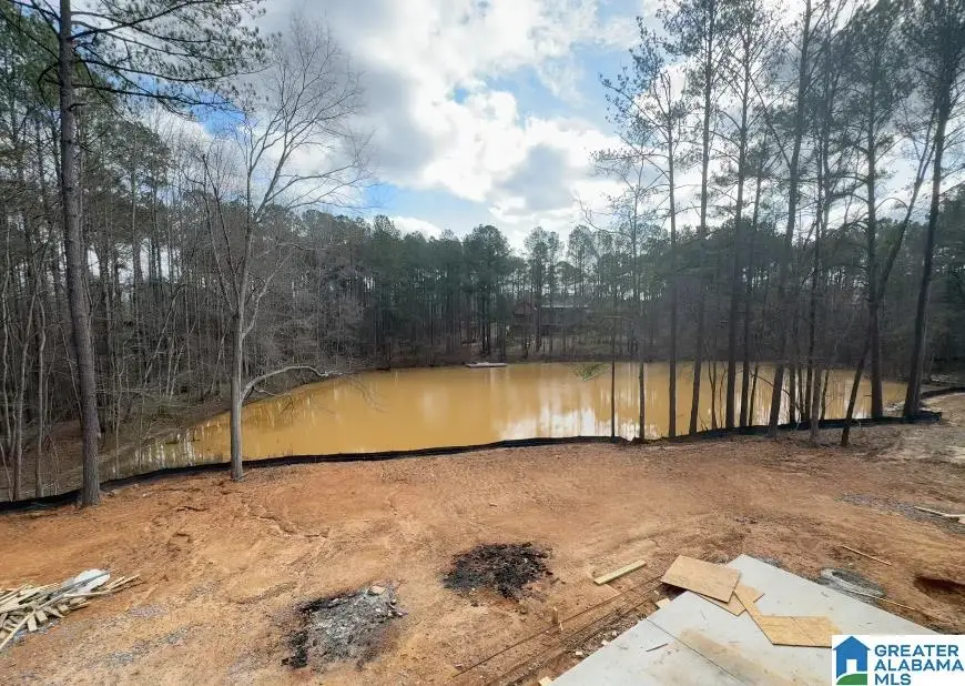 198 RIVER BIRCH ROAD, Chelsea, AL 35043 - Image #3