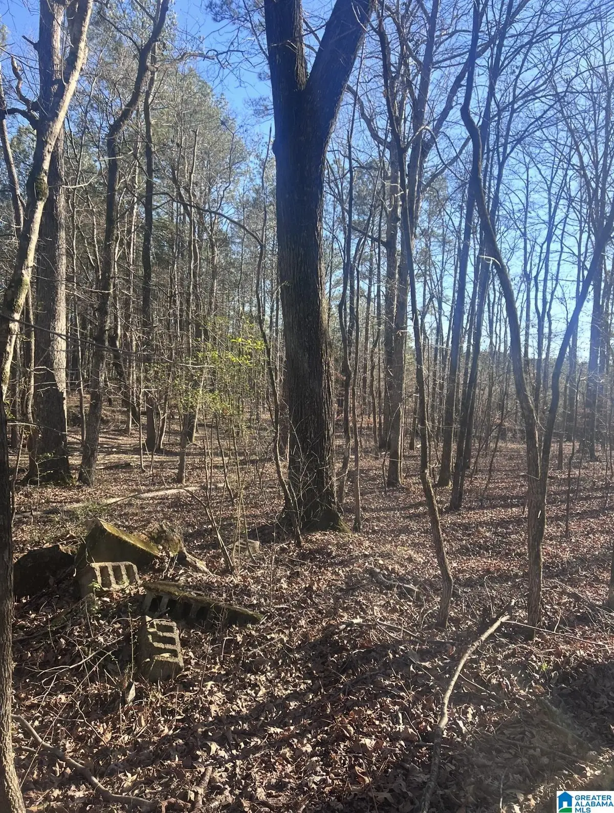 RENAEE CIRCLE, McCalla, AL 35111 - Image #1