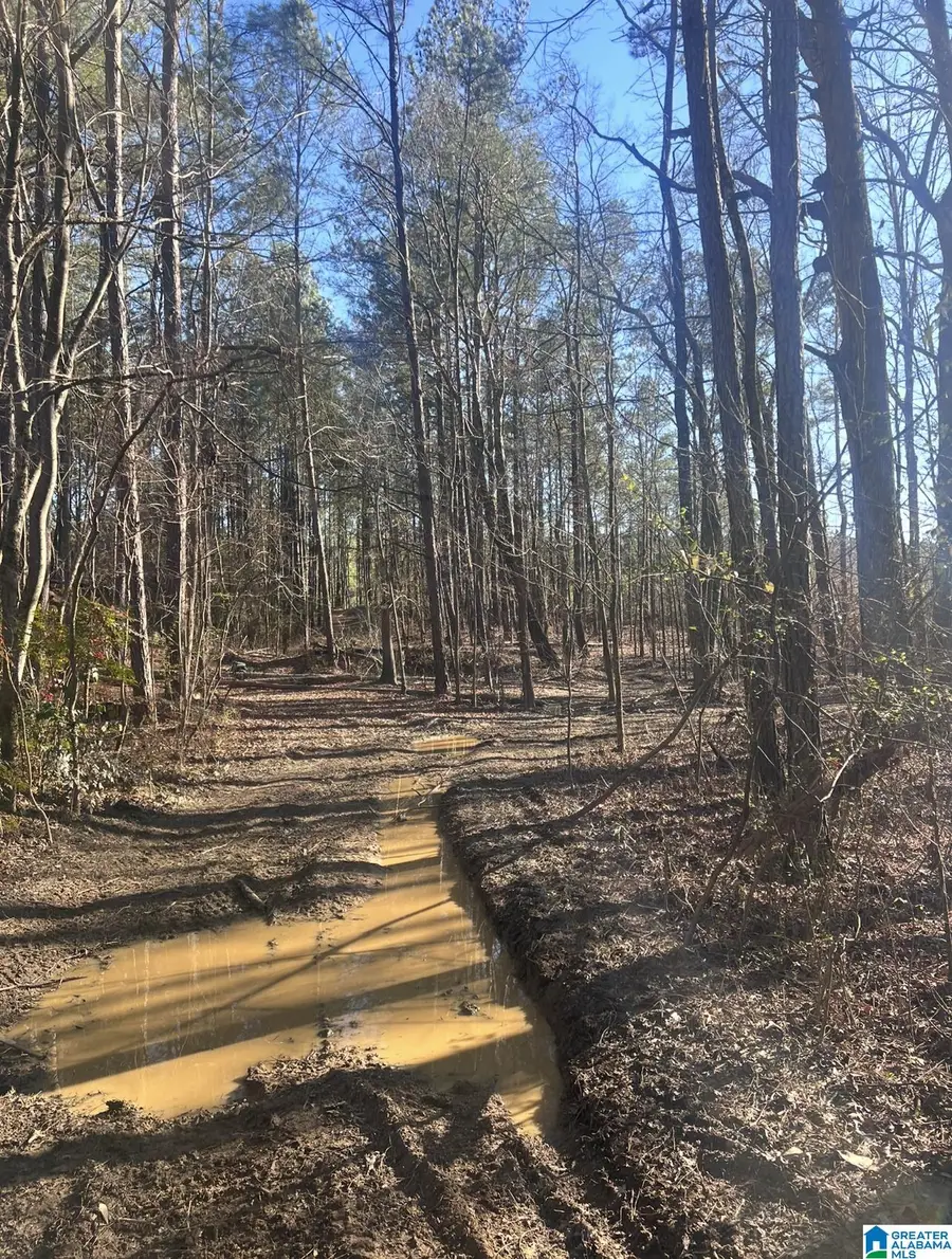 RENAEE CIRCLE, McCalla, AL 35111 - Image #3