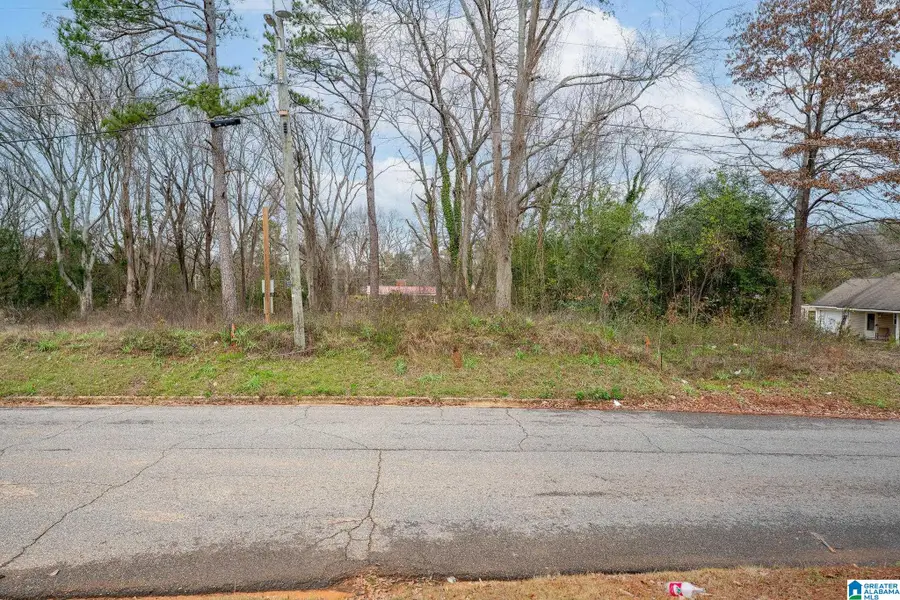 2224 4TH STREET E, Tuscaloosa, AL 35404 - Image #2