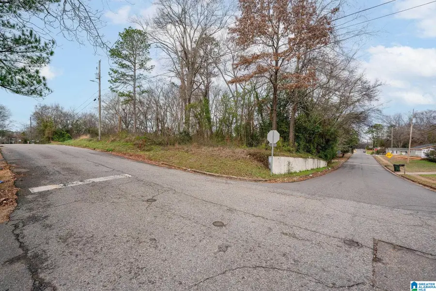 2224 4TH STREET E, Tuscaloosa, AL 35404 - Image #3