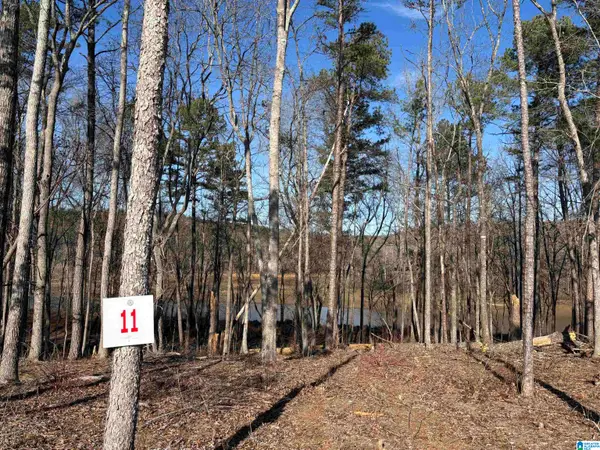 Lot 11 COUNTY ROAD 499, Woodland, AL 36280