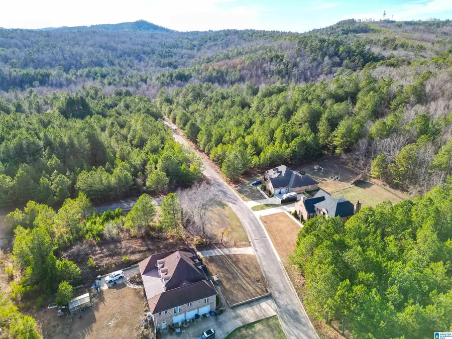 0 CLEVELAND FARMS PARKWAY, Pell City, AL 35125 - Image #3