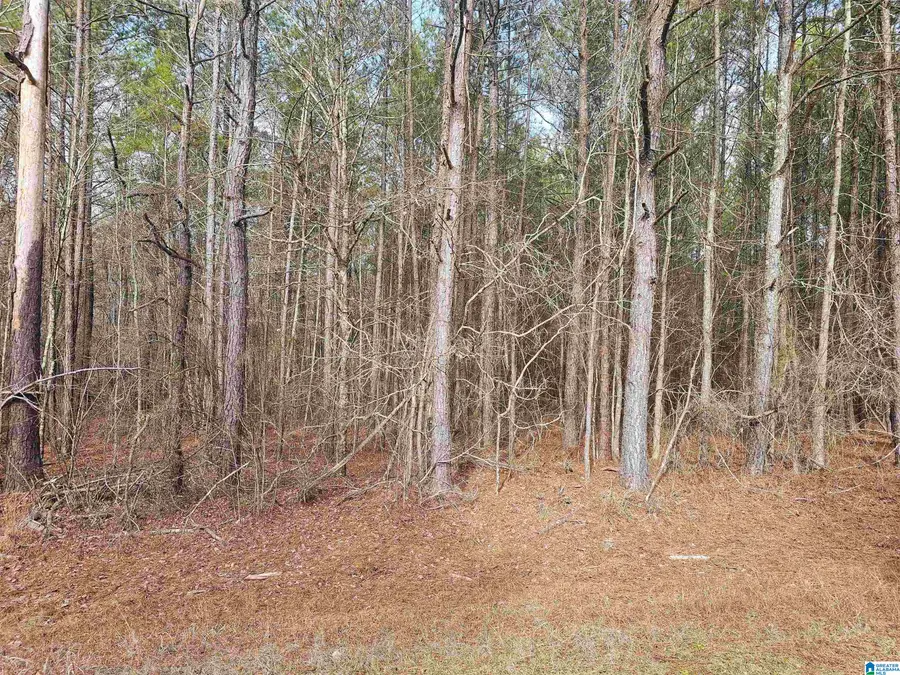 UNKN COUNTY ROAD 15, Heflin, AL 36264 - Image #2