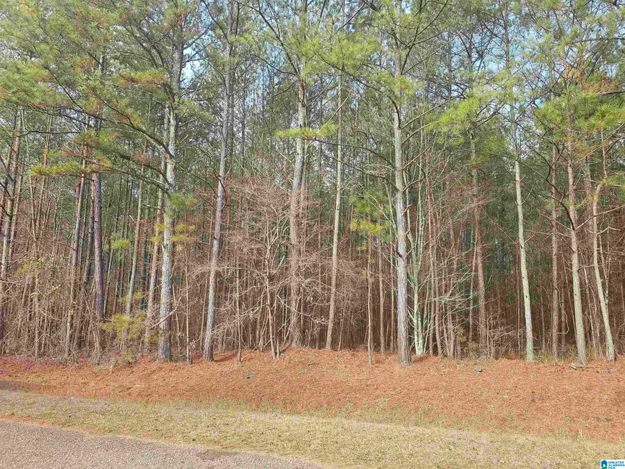 UNKN COUNTY ROAD 15, Heflin, AL 36264 - Image #3