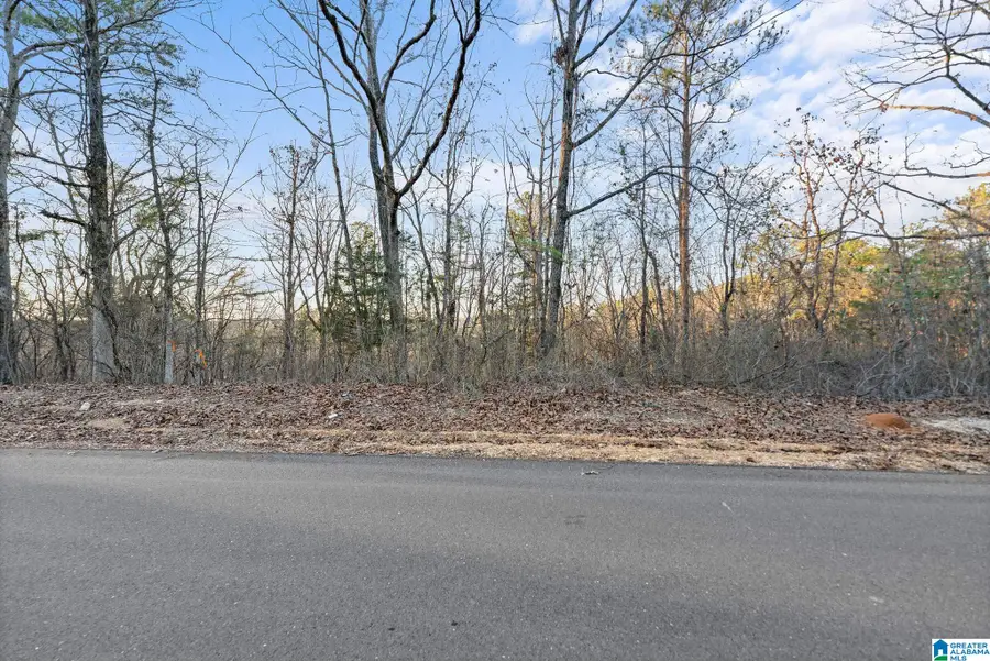 27 MOUNTAIN VIEW LANE, Vance, AL 35490 - Image #3