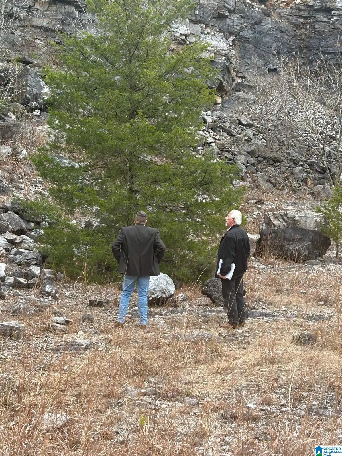 0 ROCKY LANE, Alpine, AL 35014 - Image #1