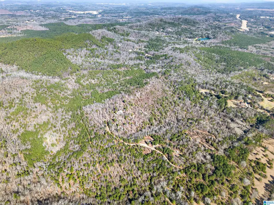 00 FLYING L RANCH ROAD, Talladega, AL 35160 - Image #2