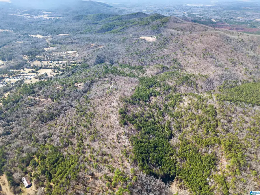 00 FLYING L RANCH ROAD, Talladega, AL 35160 - Image #3