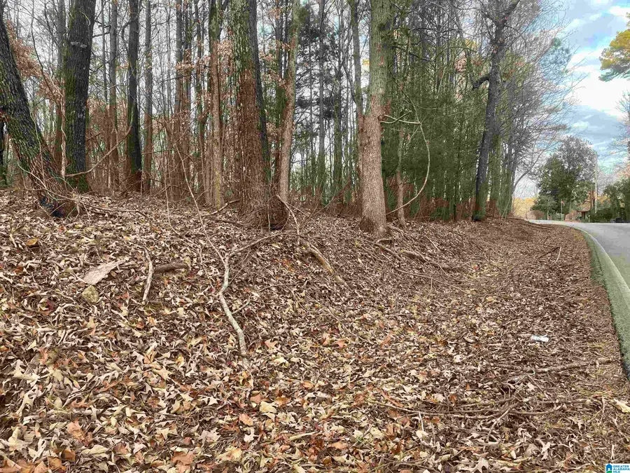 334 YORK DRIVE, Rogersville, AL 35652 - Image #2